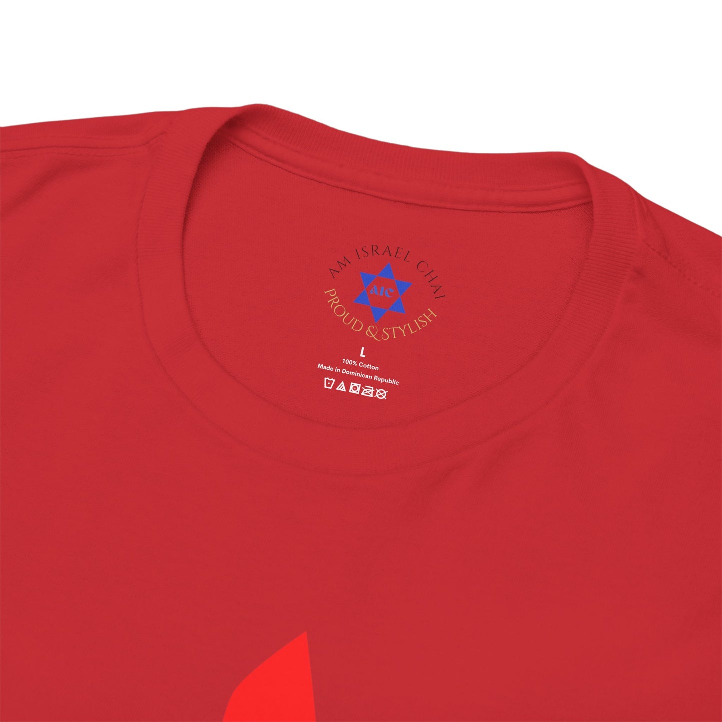 Shana Tova T-Shirt – Rosh Hashanah Pomegranate Design (Multiple Colors)