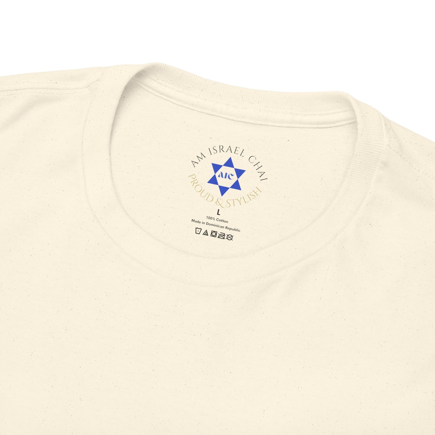 Sababa Mood On T-Shirt – Trendy Israeli Vibes (Multiple Colors)