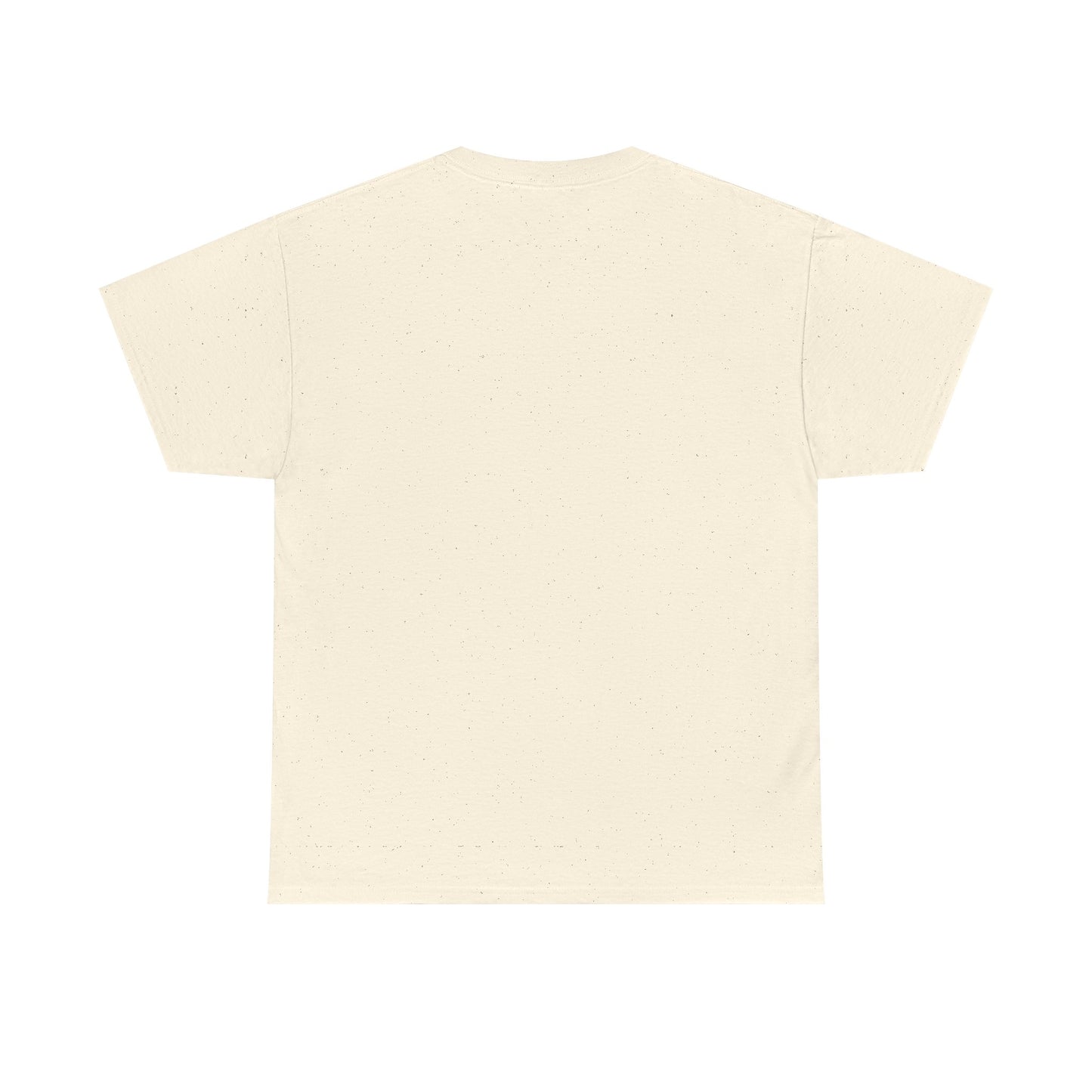 Sababa Mood On T-Shirt – Trendy Israeli Vibes (Multiple Colors)