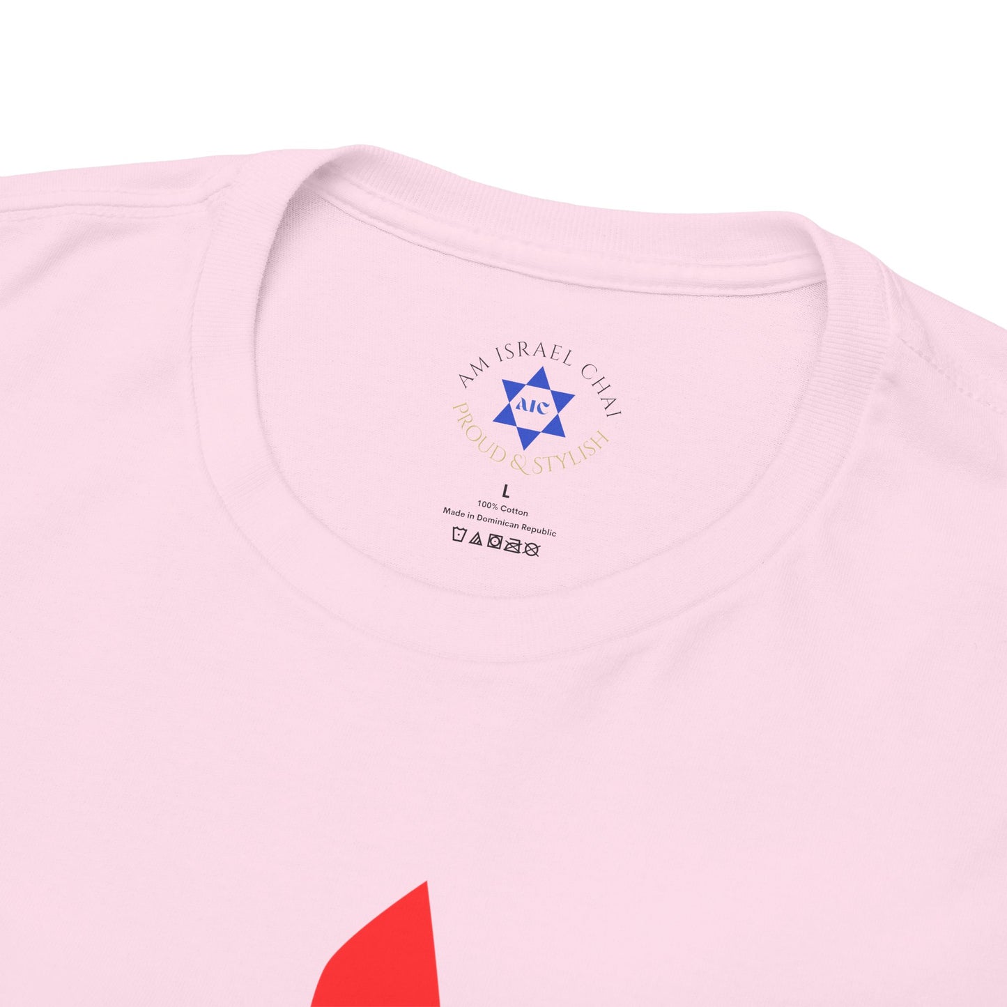 Shana Tova T-Shirt – Rosh Hashanah Pomegranate Design (Multiple Colors)
