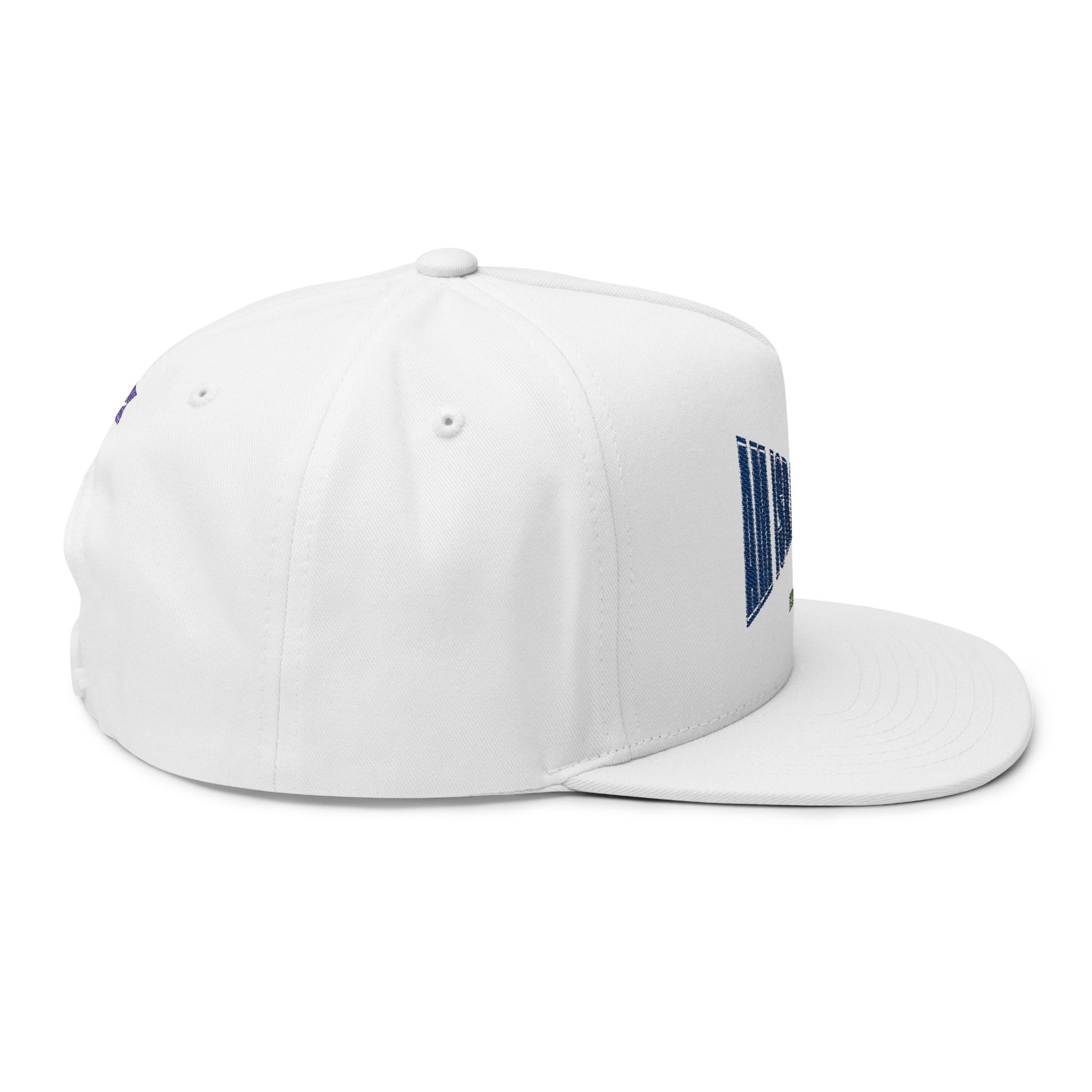 Am Israel Chai 1948 Snapback Cap – Streetwear Edition