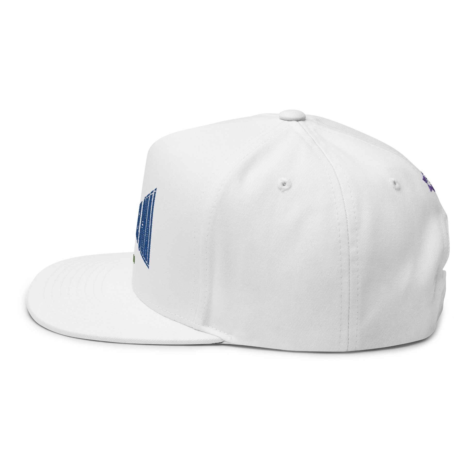 Am Israel Chai 1948 Snapback Cap – Streetwear Edition