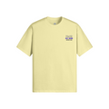  Pale Goldenrod